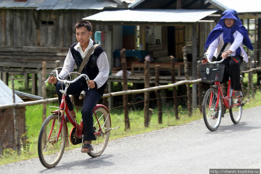 Школьники на велосипедах Провинция Сиенгкхуанг, Лаос