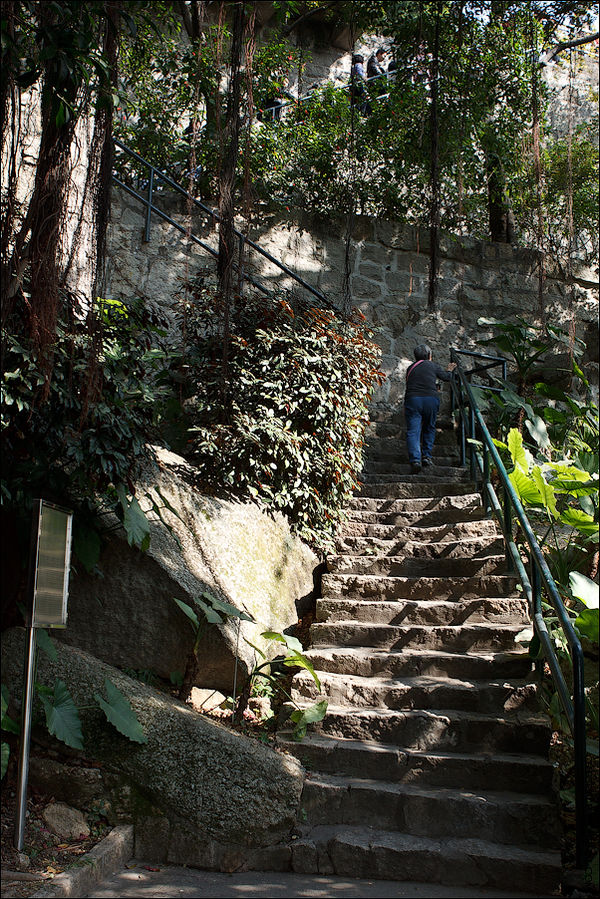 От него идет небольшая дорожка в Форталеза-ду-Монти — одного из главных укреплений Макао, построенного иезуитами в начале 17 века. Позже тут располагалась резиденция губернатора колонии, сейчас это музей. Полуостров Макао, Макао