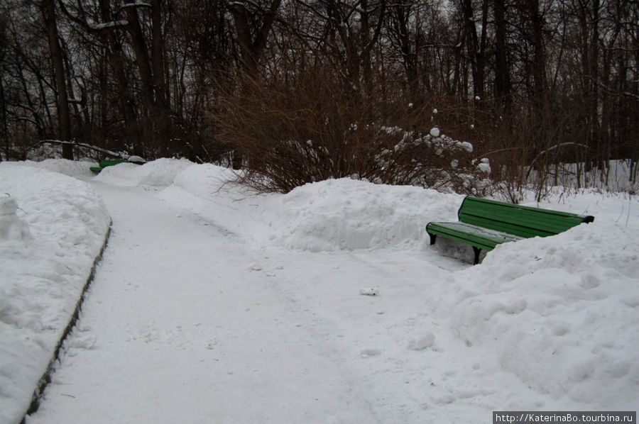Пожалуй зима — самое умиротворённое время года в московских парках. Москва, Россия