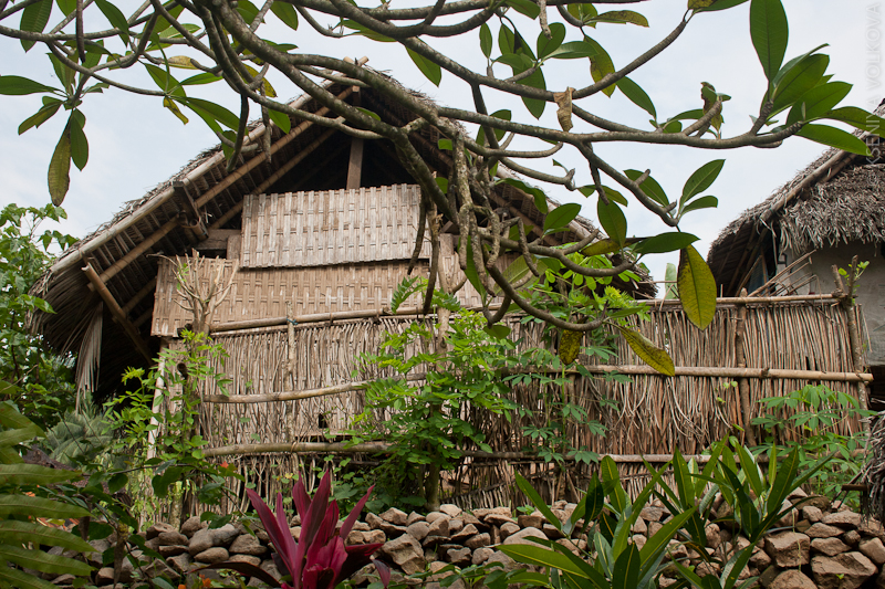 Посетить традиционную балийскую деревню Тенганан, Индонезия