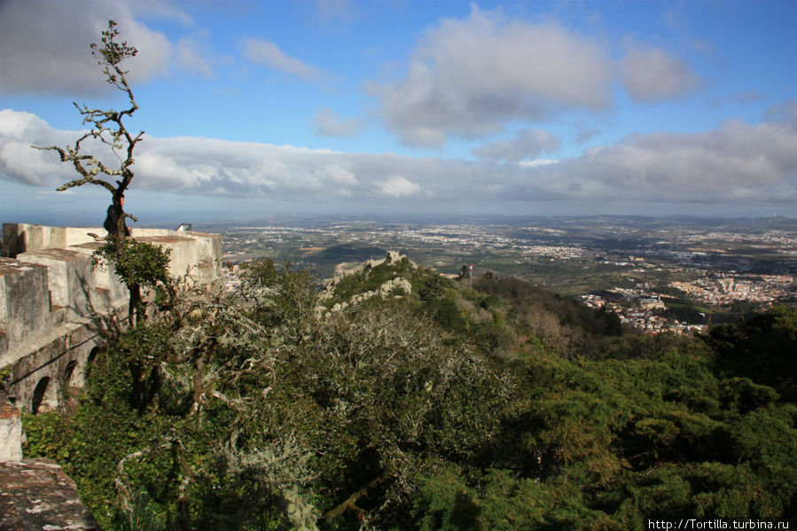 Португалия. Синтра
Вид на Крепость Мавров с террасы Дворца Пена Синтра, Португалия
