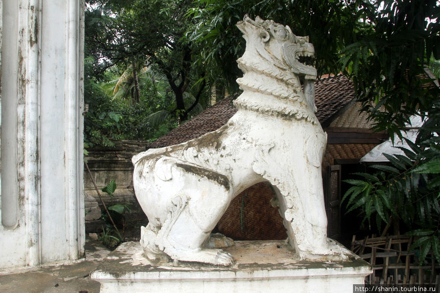 Белый каменный лев у входа Мингун, Мьянма