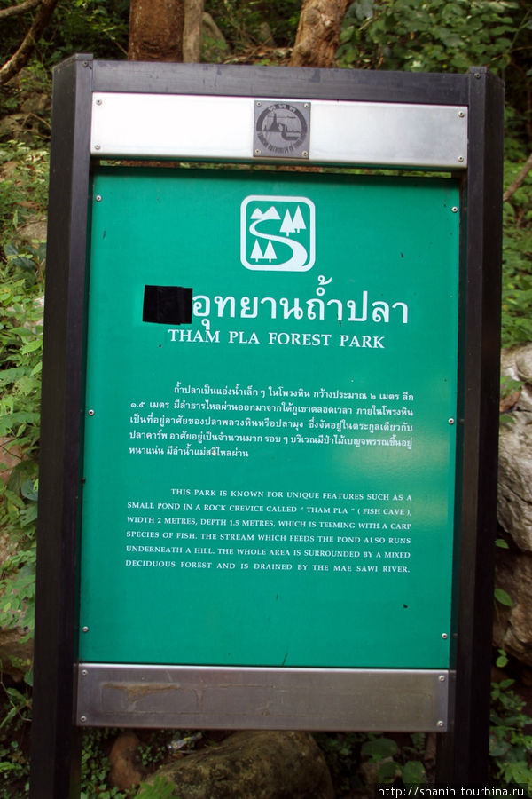 Лесопарк Тхампла и Рыбная пещера Мае-Хонг-Сон, Таиланд