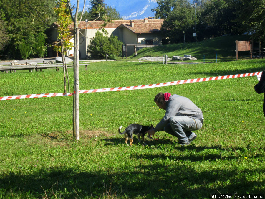 Неспортивный поиск трюфелей в Прабионе ди Тиньяле Тиньяле, Италия