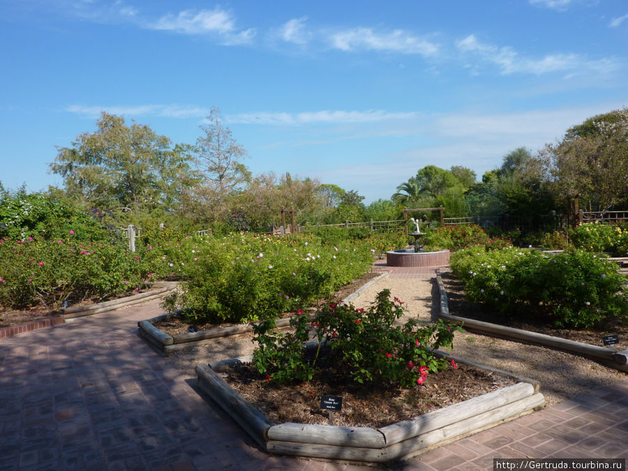 Ботанический сад в Сан Антонио.Общий обзор.