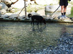 Какое удовольствие охладить ноги в горной речке, где температура воды лишь +16!