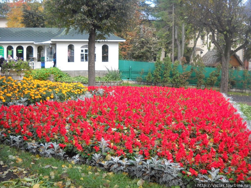 Цветник Сергиев Посад, Россия