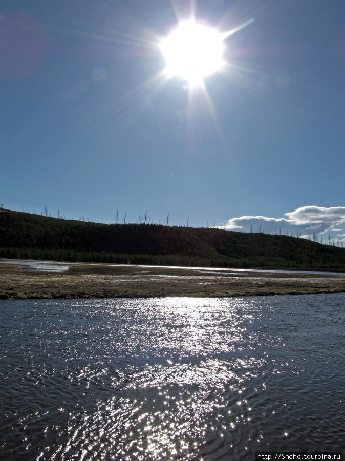 Река Мэдисон (Madison River) - 23 километра пути Йеллоустоун Национальный Парк, CША