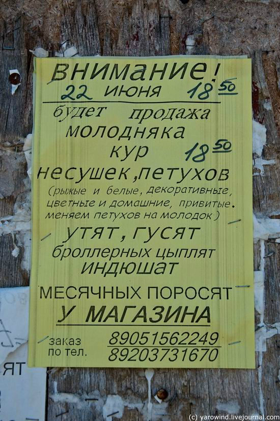 Поездка по храмам Юрьев-Польского района Юрьев-Польский, Россия