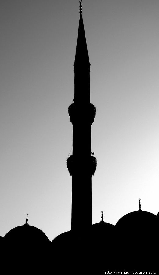 Мечети повсюду, но особо религиозного фанатизма здесь нет. Стамбул, Турция