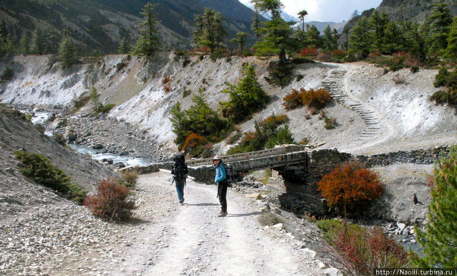Белая почва по которой идем придает особое очарование открытим скалам, Мананг, Непал