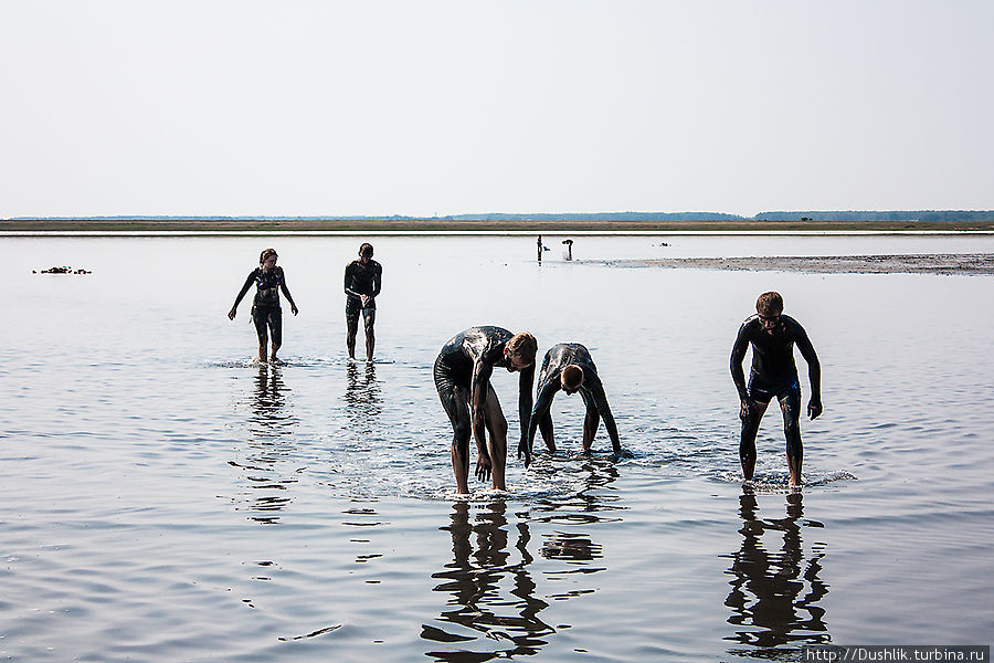 Мёртвое море Зауралья Петухово, Россия