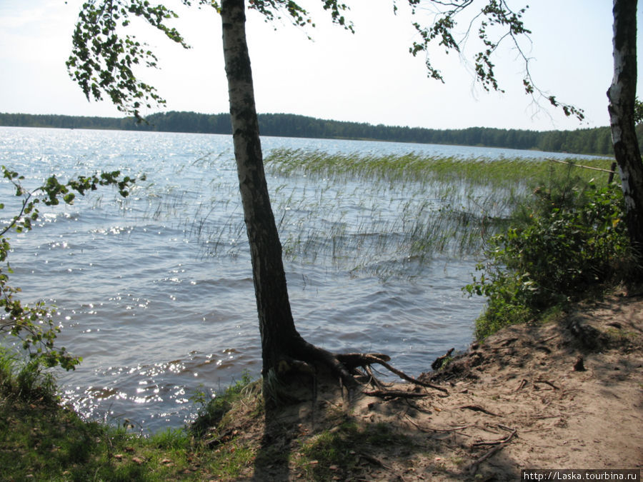 Вокруг озера Песочное Шацк, Украина