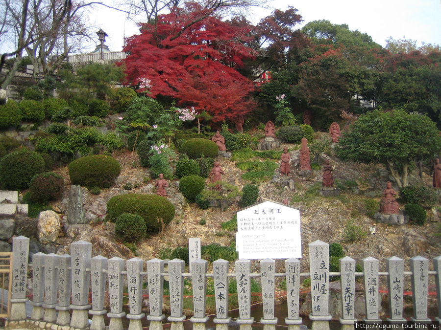 Храм Наритасан в городе Инуяма. Сакура цветущая в ноябре! Инуяма, Япония