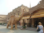 Будучи в Дели, очень рекомендую посетить Kingdom of  Dreams, просто феерическое зрелище!!!!!