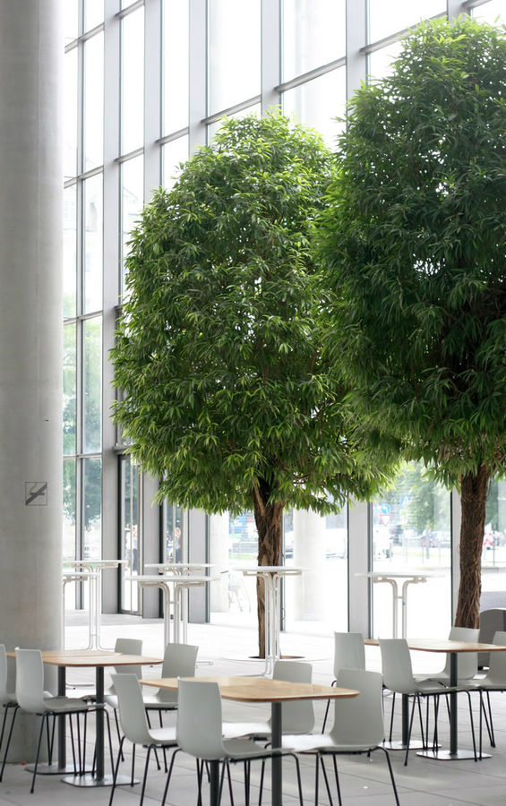 Собственно, любоваться современным дизайном можно начинать уже в холле, где растут живые деревья. Мюнхен, Германия