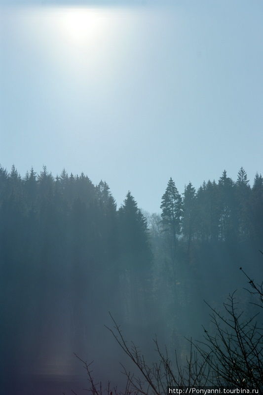 Северный Шварцвальд:Между осенью и зимой. Шварцвальд, Германия