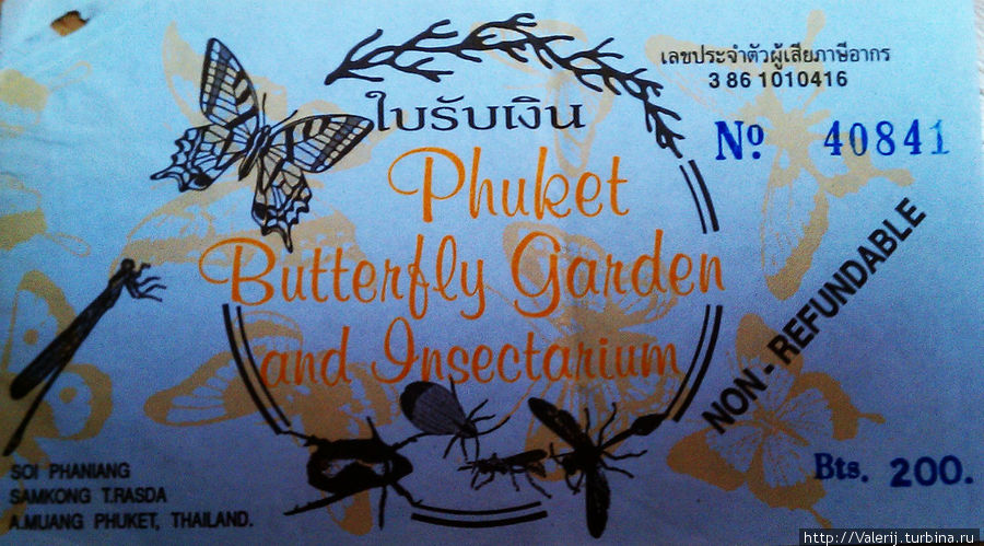 Наш Таиланд (11). Бабочки Пхукета Пхукет, Таиланд