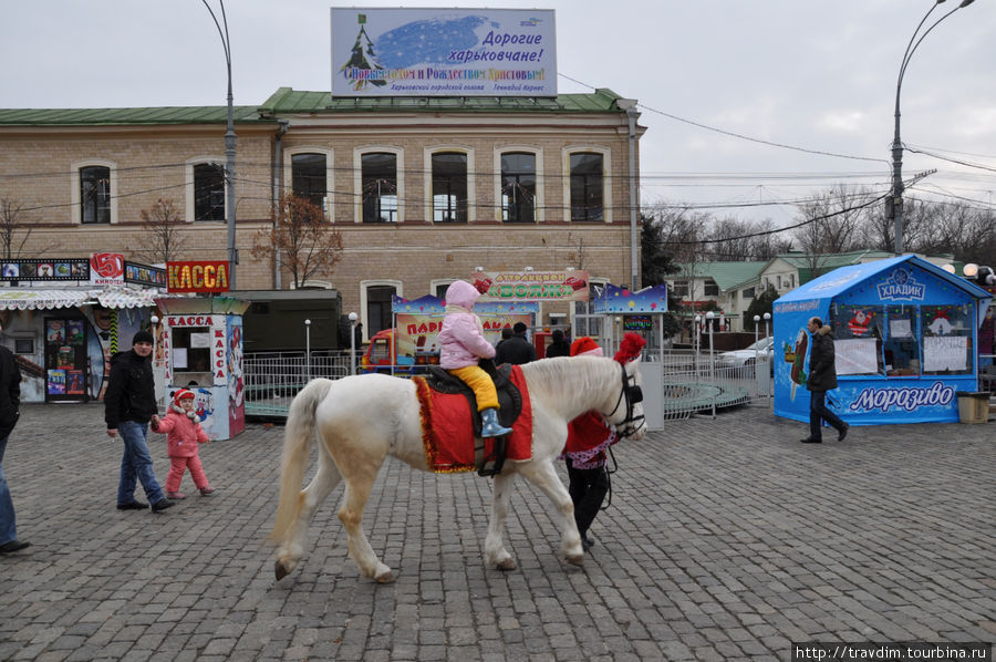 Главная ёлка на главной площади в Харькове Харьков, Украина