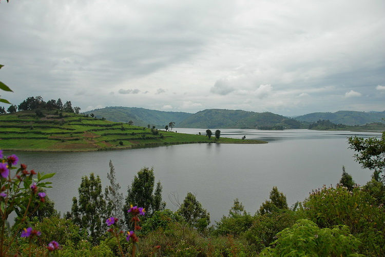 Не самое большое озеро в Африке.
Думаю, просто самое живописное.
Буньони. Уганда