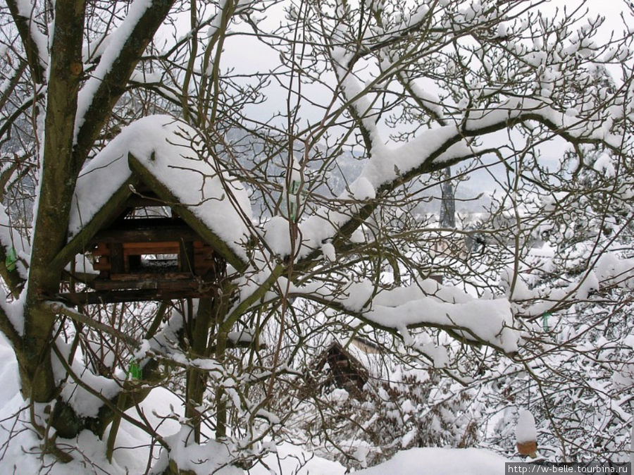 Как завалило снегом деревушку Флерсбахталь Земля Бавария, Германия