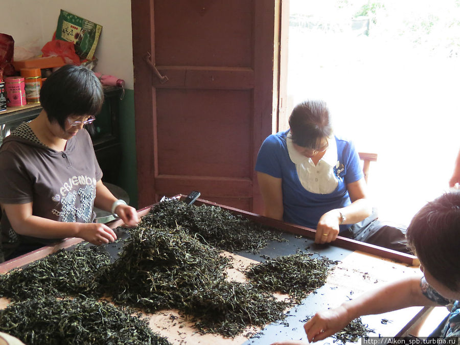 Купить чай в Уишане Уишань, Китай