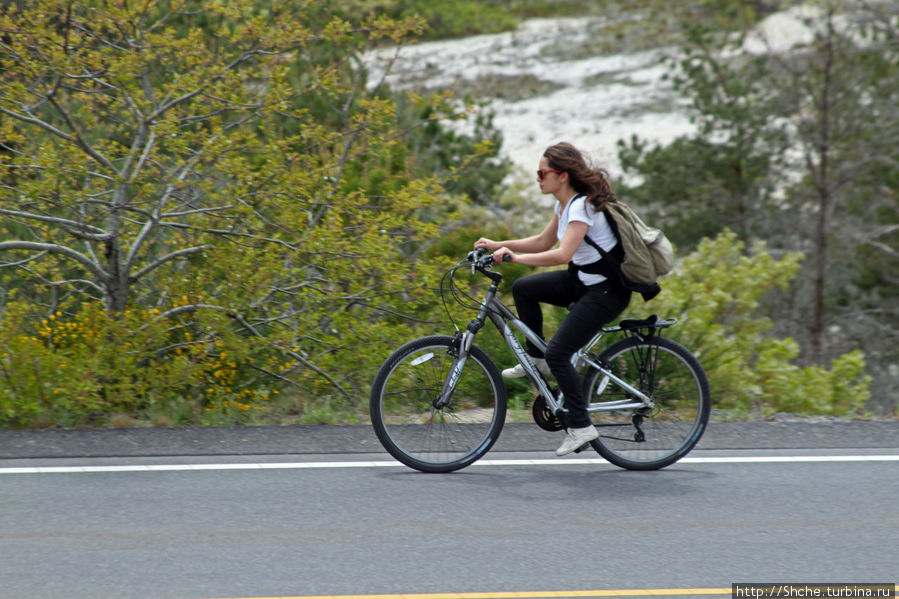 хороший способ путешествия по дюнам, здесь вокруг пробиты асфальтированные велодорожки Национальное побережье Кейп-Код, CША