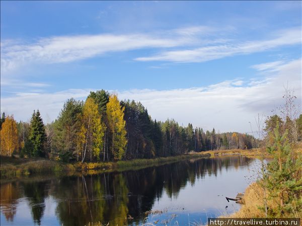 Экспедиция на квадроциклах 