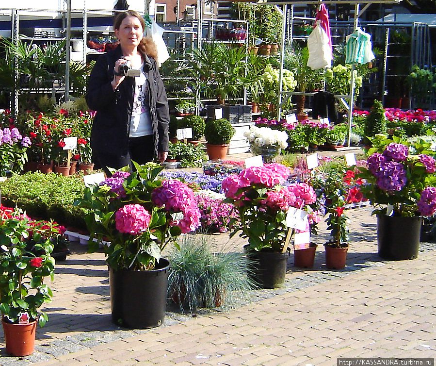 Цветочный рынок на площади Амстелфелд Амстердам, Нидерланды