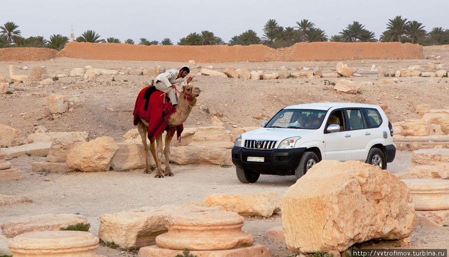 Водитель джипа, похоже, пытается узнать дорогу у верблюдчика. Тадмур (Пальмира), Сирия