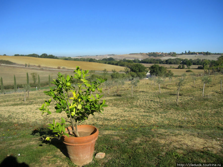 Agriturismo San Giorgio Монтерони-д'Арбия, Италия