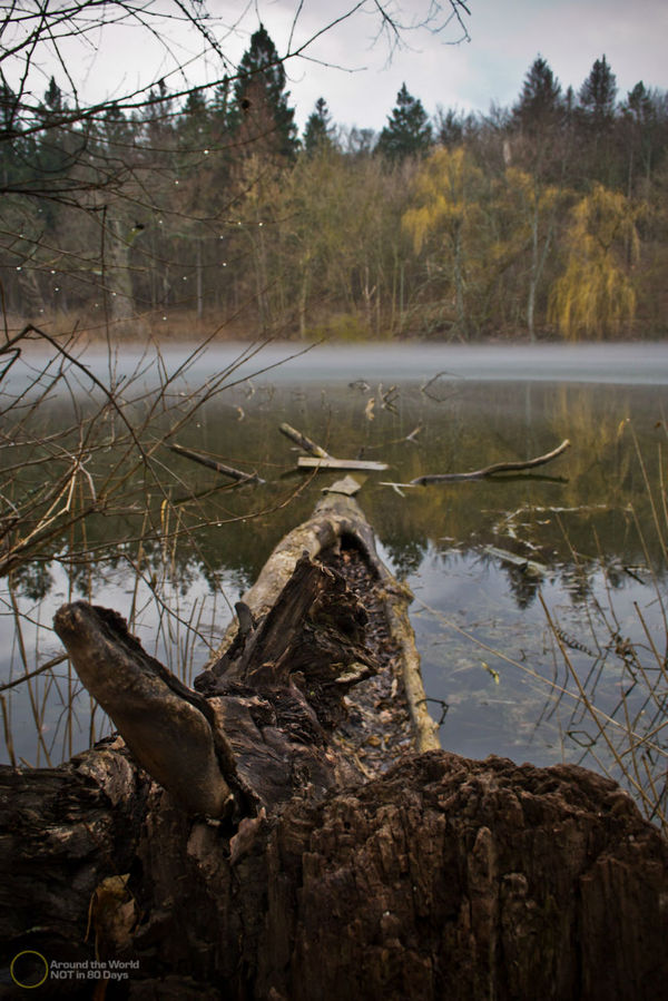 Шаровский парк Шаровка, Украина