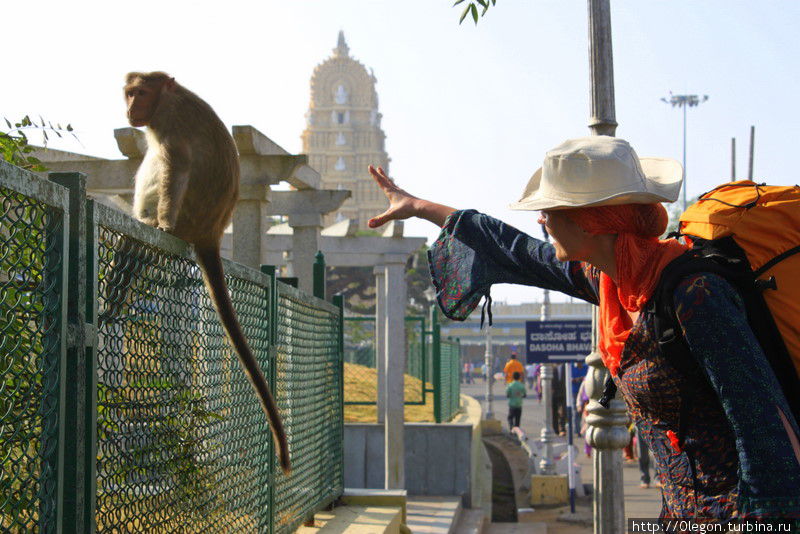 Анна Кособуцкая на фоне храма Чамунди с обезьянкой Майсур, Индия