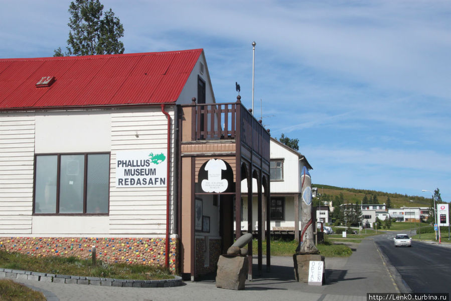 Исландский музей фаллосов Хусавик, Исландия