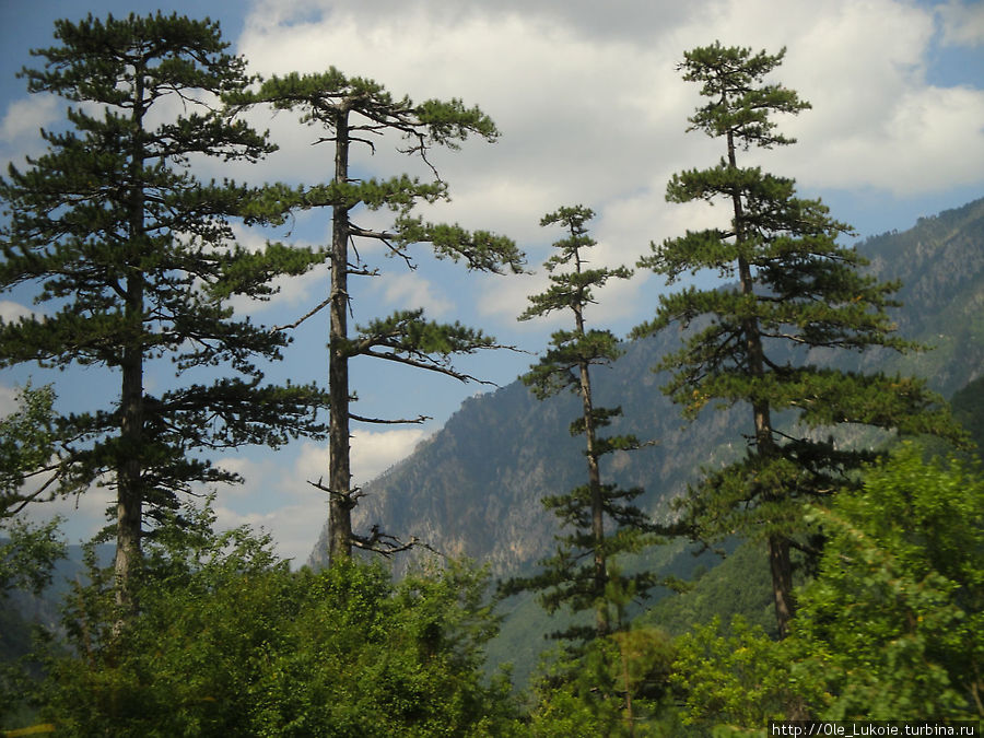 Вот такая природа Черногории Будва, Черногория