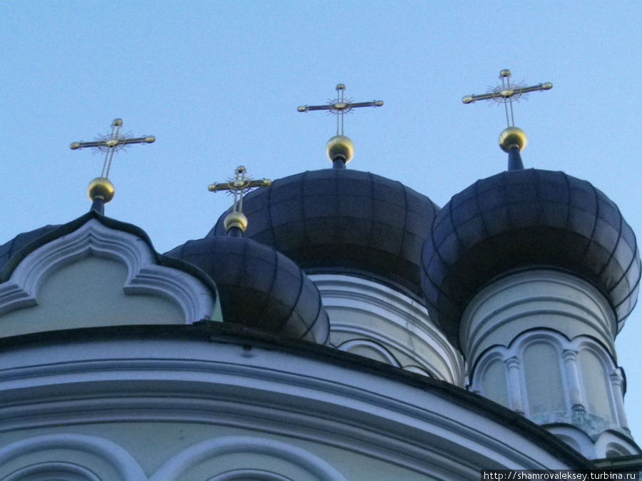 Церковь иконы Шестоковской Божией Матери Санкт-Петербург, Россия