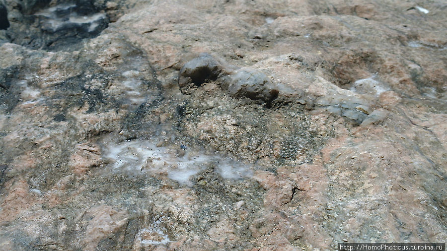 соль на камне Людериц, Намибия