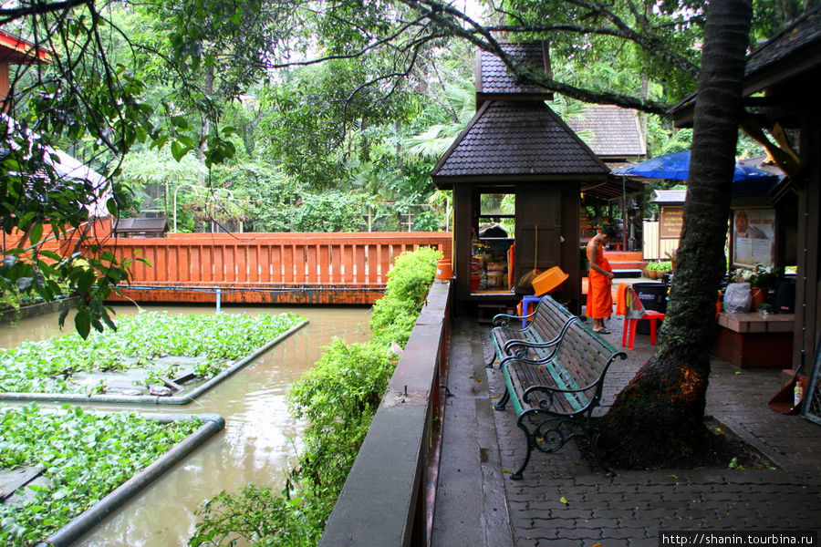 Тропический парк в монастыре Ват Пракео Чианграй, Таиланд