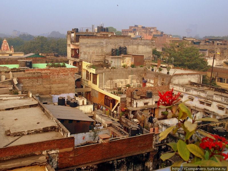 Поселились мы в районе Мейн Базара, в самом бэкпэкерском месте Дели. Ну а вид с крыши отеля на этот район отдаленно напоминает Гавану. Дели, Индия