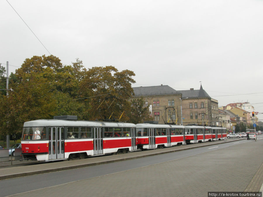 Два длинных трамвая подряд, прям поезд какой-то Брно, Чехия