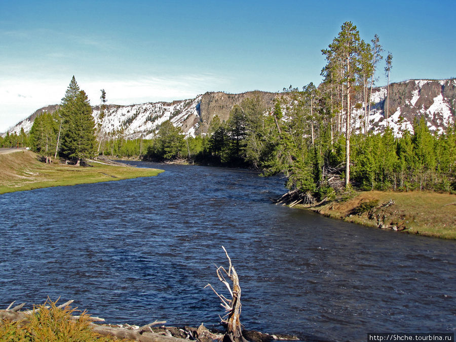 Река Мэдисон (Madison River) - 23 километра пути Йеллоустоун Национальный Парк, CША