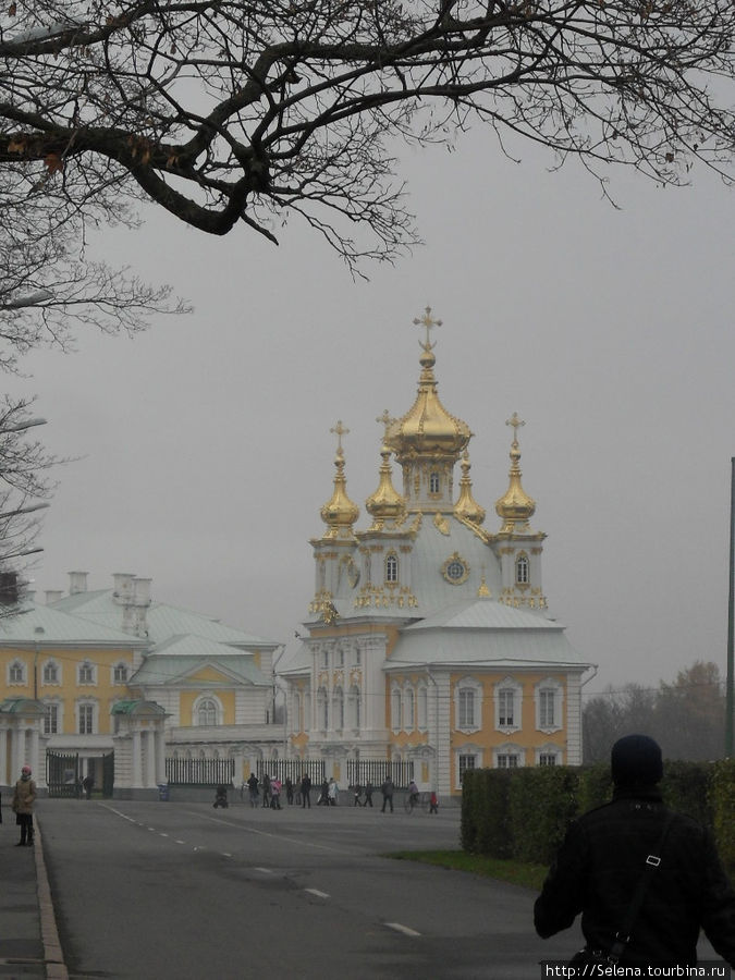 Осенний Петергоф Петергоф, Россия