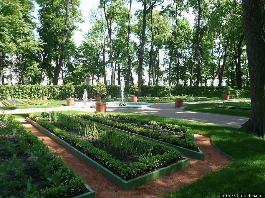 Аптекарский огород Летнего сада Санкт-Петербург, Россия