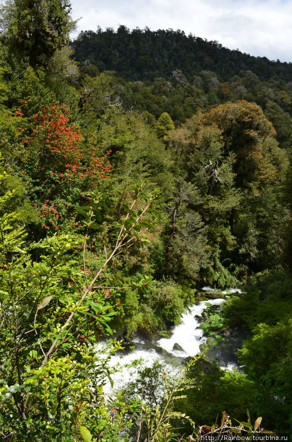 Водопад реки Пескадеро Пуеуэ Национальный Парк, Чили