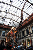 Самый большой макет динозавра. Практически все кости являются подлинными.