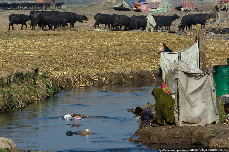 Несмотря на то, что вода здесь не самая чистая, местные жители умываются в этой воде. Лахор, Пакистан