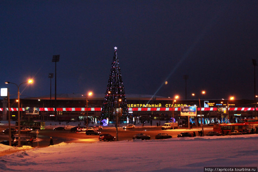 елка у центрального стадиона Казань, Россия