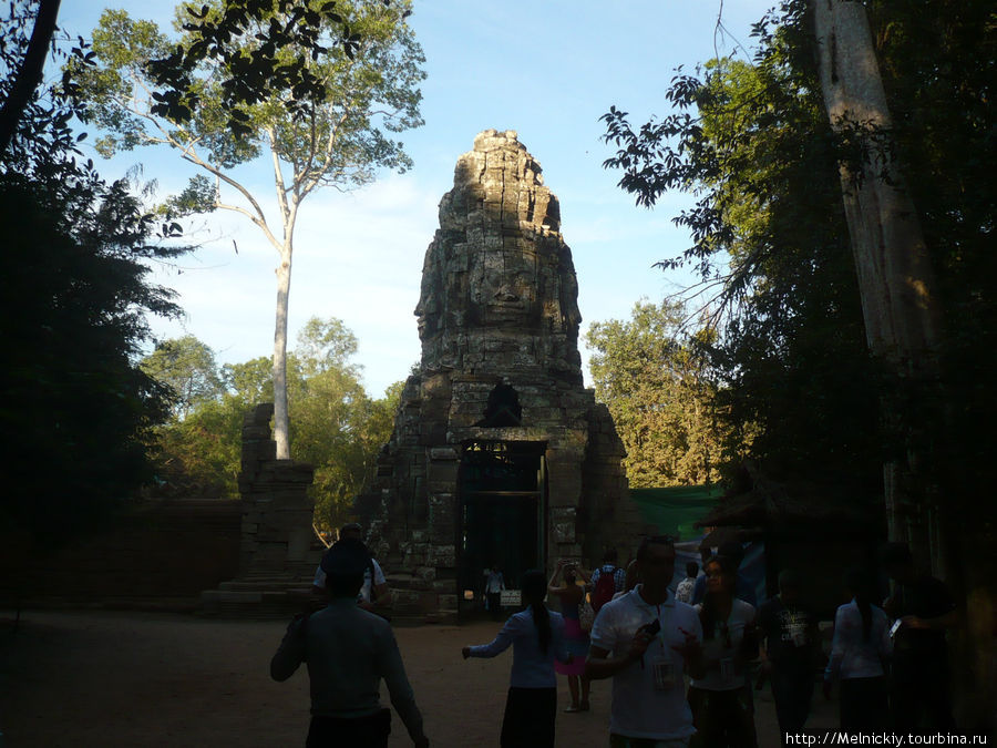 В прохладной тени Храма Та Прум Ангкор (столица государства кхмеров), Камбоджа