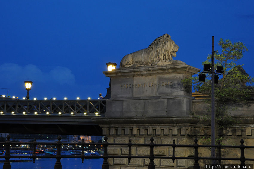Лев на Цепном мосту Будапешт, Венгрия