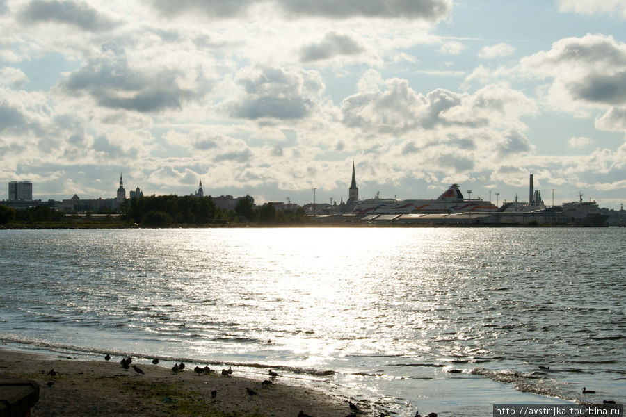 Солнечный день в Таллине Таллин, Эстония